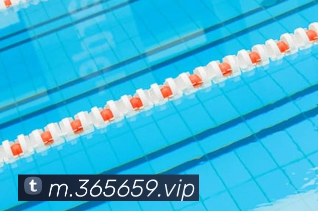 bet365APP 封面图